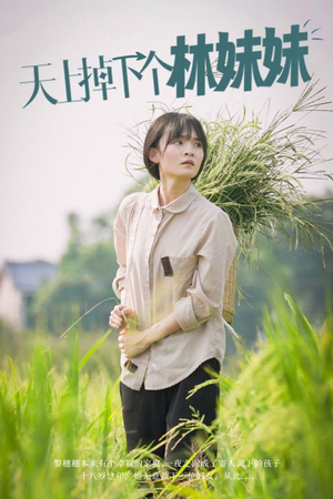 天上掉下个林妹妹(81集) 天上掉下个林妹妹(81集)免费短剧