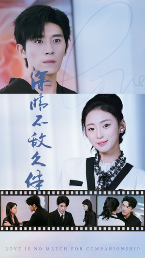 深情不敌久伴（50集）观众评价