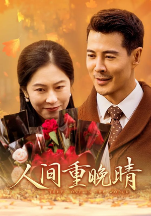 人间重晚情（38集）龙王短剧