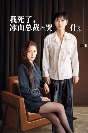 我死了冰山总裁你哭什么（30集）演员名短剧大全