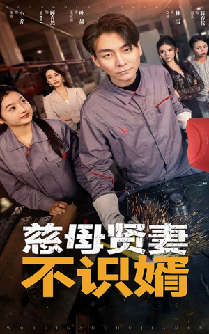 慈母贤妻不识婿（45集）最新一集