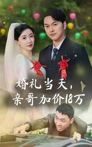 婚礼当天，亲哥加价18万（36集）熬夜看完