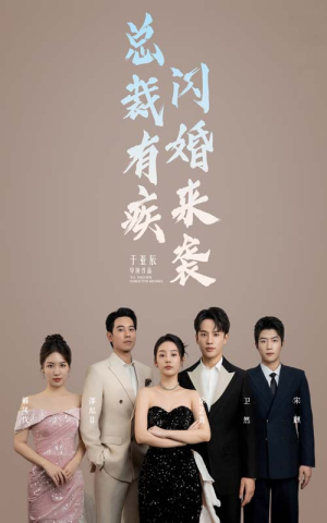 总裁有疾闪婚来袭（63集）夸克网盘免费资源分享下载