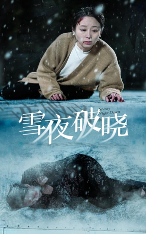 雪夜破晓（36集）2026必看神剧Top10榜单