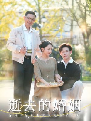 逝去的婚姻（60集）最终结局