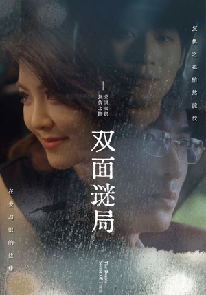 双面谜局（44集）无需注册