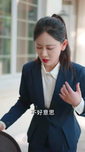穿书攻略反派总裁&在线改变BE结局（30集）玄幻戏太宏大