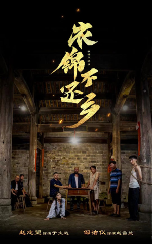 衣锦不还乡(69集) 衣锦不还乡(69集)换脸复仇