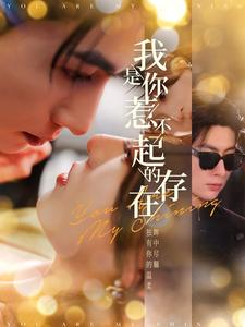我是你惹不起的存在（101集）无广告