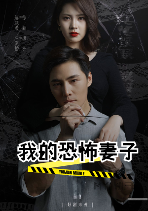 我的恐怖妻子（30集）事业型女主
