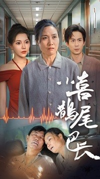 小喜鹊尾巴长（53集）古装权谋短剧