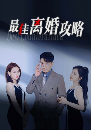 最佳离婚攻略（31集）热血短剧