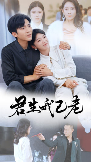 君生我已老（61集）一共多少集