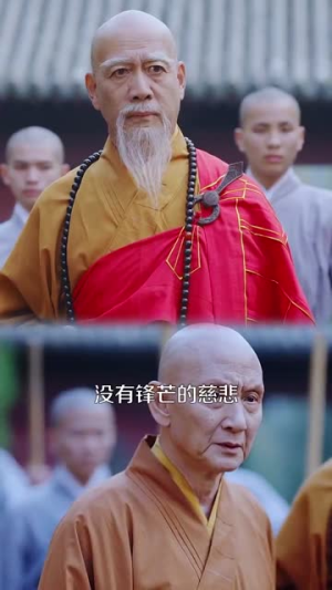 天下嵩山(29集) 天下嵩山(29集)意难平啊