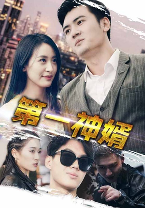 第一神婿（110集）太逗了