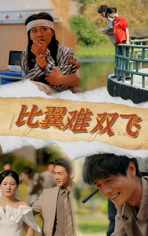 比翼难双飞（30集）全网热度破亿现象级短剧