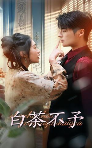 白茶不予(68集) 白茶不予(68集)短剧女神