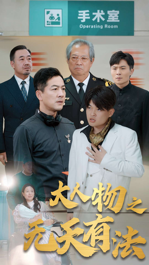 .新大人物之无天有法（35集）百度网盘高清下载