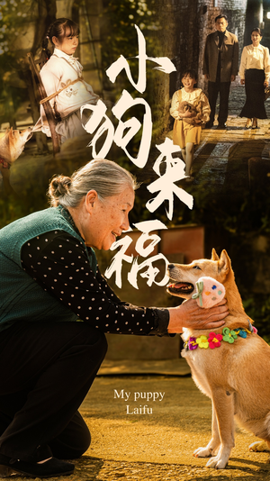 小狗来福（30集）永久珍藏