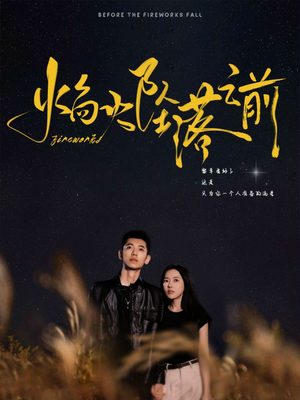 焰火坠落之前（99集）结局是什么