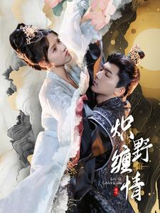 炽野缠情（95集）完全免费