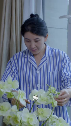 我救了美女大明星老婆(70集) 我救了美女大明星老婆(70集)总裁短剧
