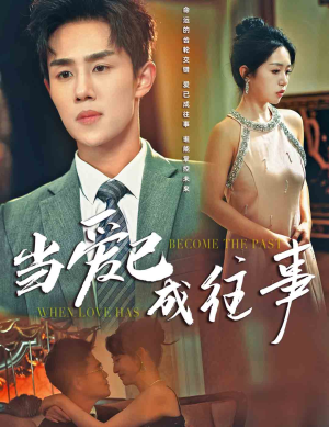当爱已成往事（28集）1-100集