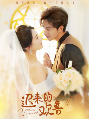 迟来的欢喜（81集）全集免费