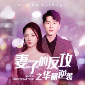 妻子的反攻之华丽逆袭（30集）扎心短剧