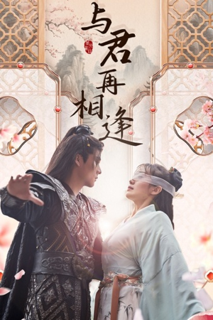 与君再相逢（70集）百度网盘资源