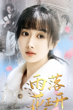 雨落花正开(62集) 雨落花正开(62集)离线下载
