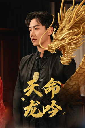 天命龙吟(48集) 天命龙吟(48集)乡村短剧